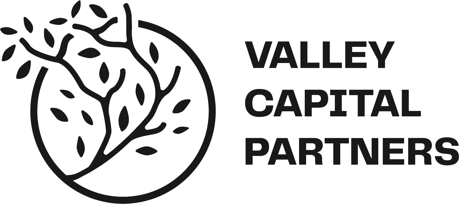 Valley Capital Partners